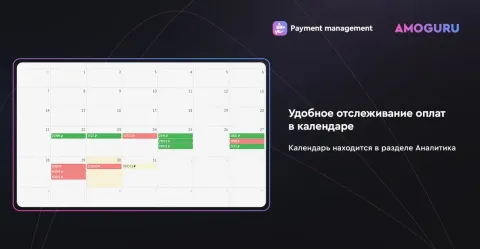 Управление платежами от AMOGURU, изображение 2