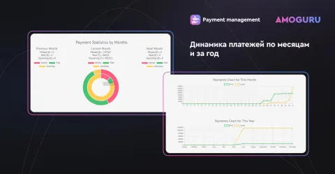 Управление платежами от AMOGURU, изображение 3