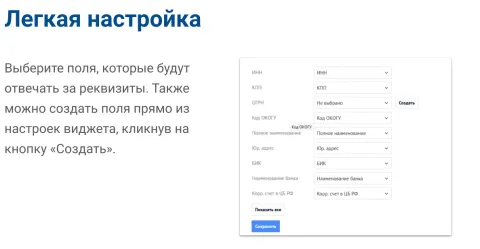 Автозаполнение реквизитов по ИНН и БИК через DaData от Emfy, изображение 2