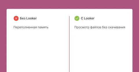 Looker | CatCode | Предпросмотр документов, изображение 2