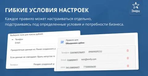 Поиск дублей контактов и компаний от Emfy, изображение 3