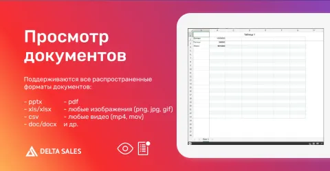 Просмотр документов от DeltaSales, изображение 2