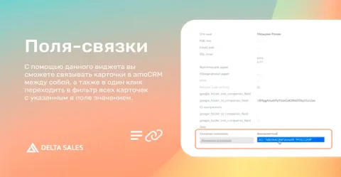 Поля-связки от DeltaSales, изображение 2