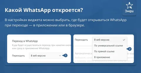 WhatsApp от Emfy, изображение 2