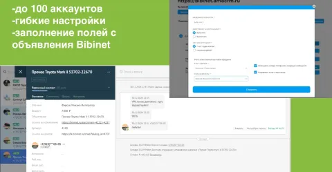 Bibinet, изображение 2