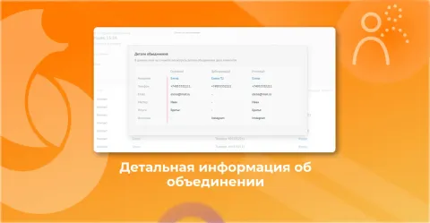 Автодубли контактов и компаний (Roydis), изображение 3