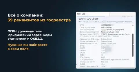 Автореквизиты от Make Rock, изображение 2