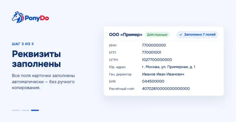 PonyDO Реквизиты, изображение 3