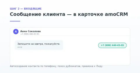 Viva Pulse, изображение 2