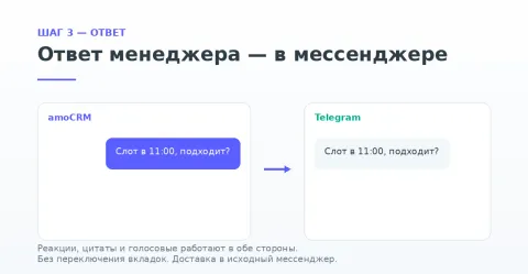 Viva Pulse, изображение 3